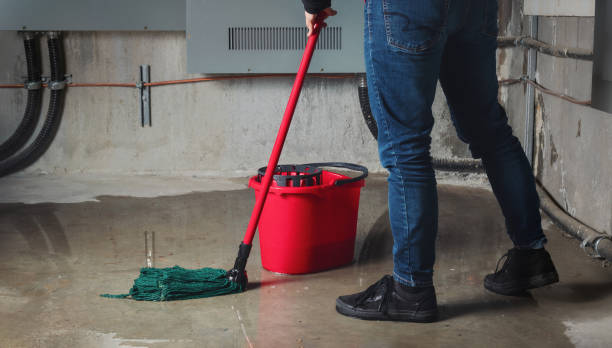 Best Water damage cleanup near me  in Parkersburg, IA
