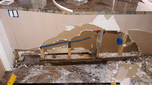 Best Water damage restoration mold remediation  in Parkersburg, IA