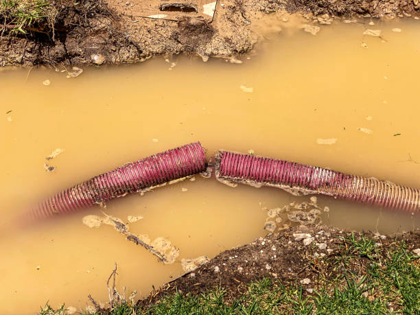 Best Flood damage cleanup  in Parkersburg, IA